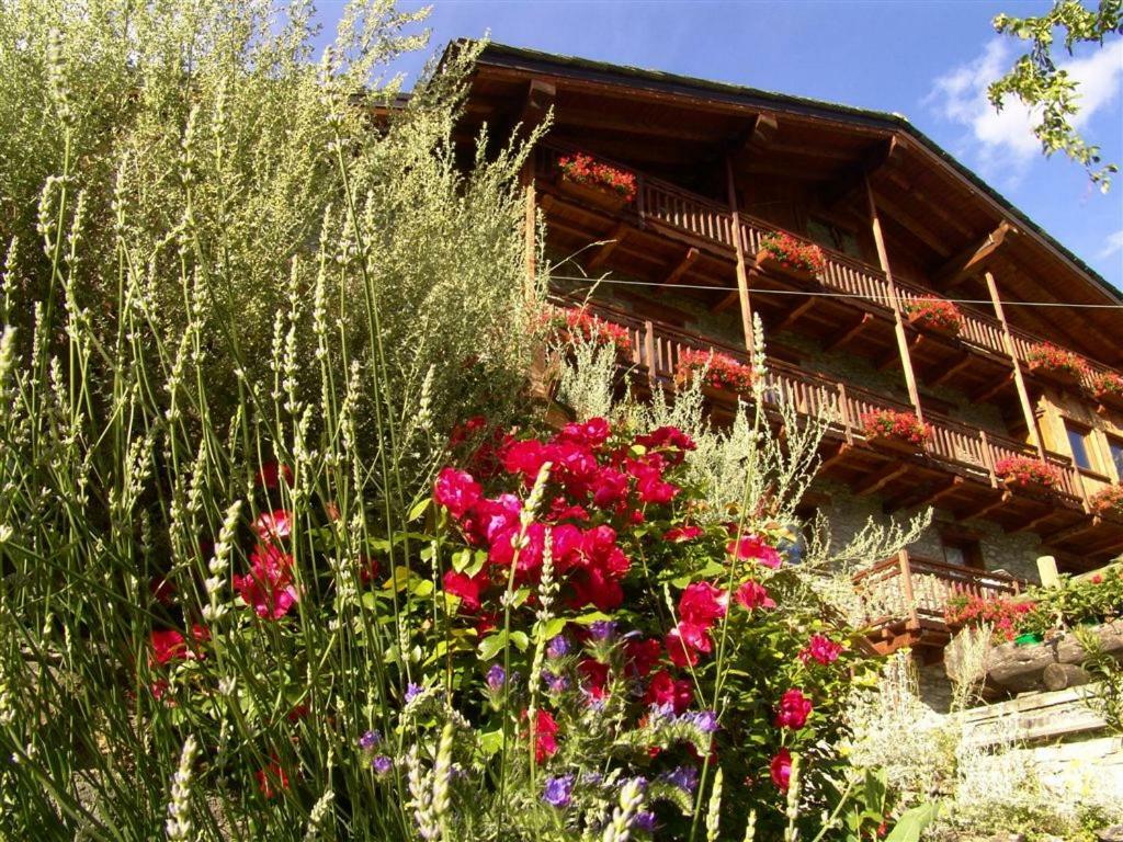 Maison De Frein Allein Exterior photo